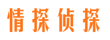 东区侦探